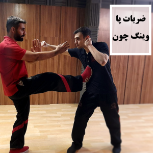 ضربات پا وینگ چون