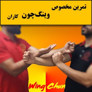 تمرینات مخصوص وینگ چون