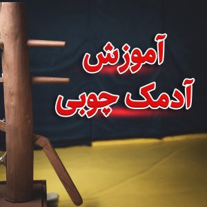 آموزش آدمک چوبی