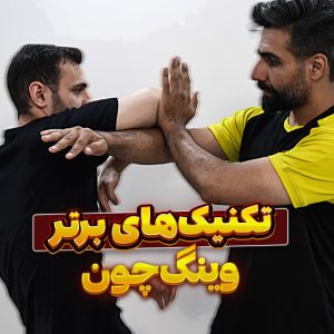 تکنیک های برتر وینگ چون