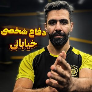 فن های دفاع شخصی خیابانی