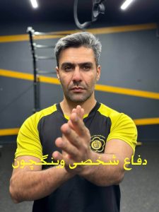 سیفو دفاع شخصی وینگچون