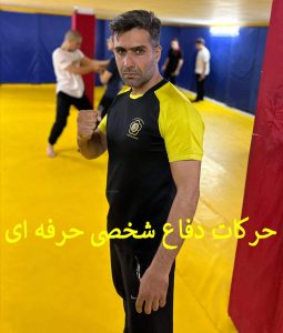 آموزش دفاع شخصی حرفه ای