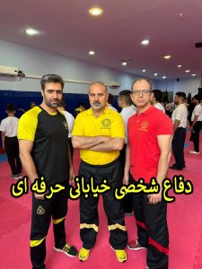 آموزش دفاع شخصی حرفه ای